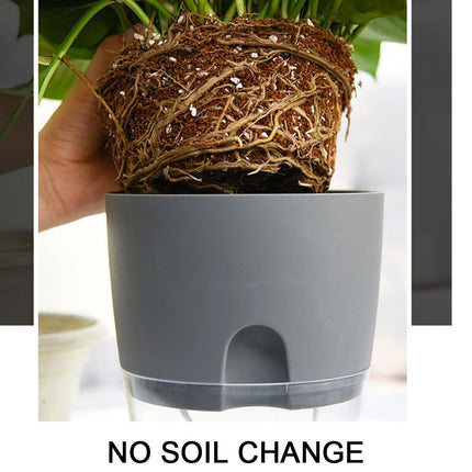 Darzheoy Self Watering Planter, 4 Inch Self Watering Pots for Indoor Plants, Self Watering Planters with Wick Rope for All House Herbs, Plants, Violets and Dahlias Gray.