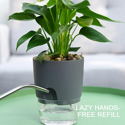 Darzheoy Self Watering Planter, 4 Inch Self Watering Pots for Indoor Plants, Self Watering Planters with Wick Rope for All House Herbs, Plants, Violets and Dahlias White.
