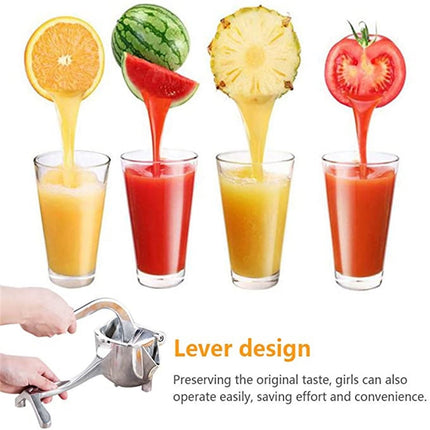 Chmadoxn Extra Large Lemon Squeezer Stainless Steel - Easy Squeeze Heavy Duty Lemon Juicer Hand Press - Ergonomic Citrus Squeezer & Fruit Juicer for Small Oranges, Lemon & Limes (7.9×1.2 inch) As Show D.