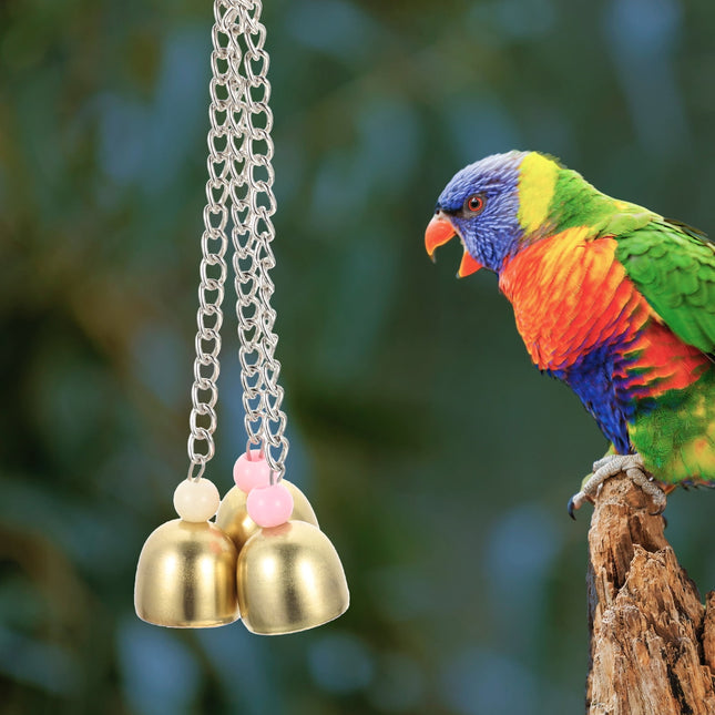 Rattle The Bell Parrot Toy for Large Birds - Stainless Steel Cage Decor for Parakeets, Cockatiels, and Small Tail Birds.