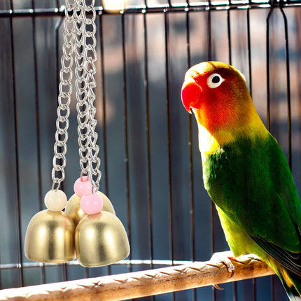 Rattle The Bell Parrot Toy for Large Birds - Stainless Steel Cage Decor for Parakeets, Cockatiels, and Small Tail Birds.