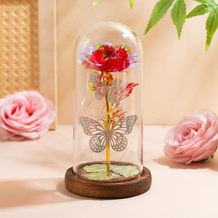 Home & Garden Cartoz.