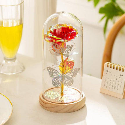 Home & Garden Cartoz.