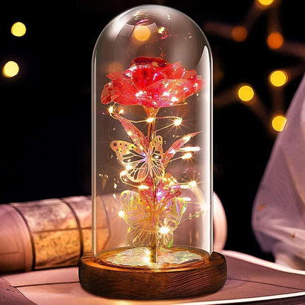 Home & Garden Cartoz.