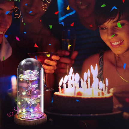 Home & Garden Cartoz.