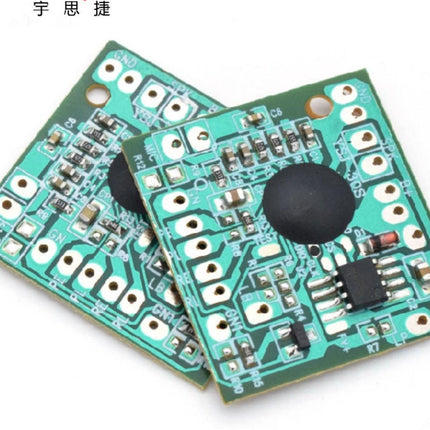 Voice Recording Module - 10-Pack (30-Second Recording Capacity).