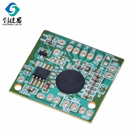 Voice Recording Module - 10-Pack (30-Second Recording Capacity).