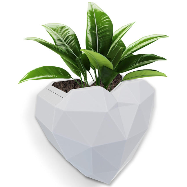 Wall Mounted Planter - NO DRILLING,Houseplant Wall Display Ideas,3D Printed Wall Planter with Drainage Tray.