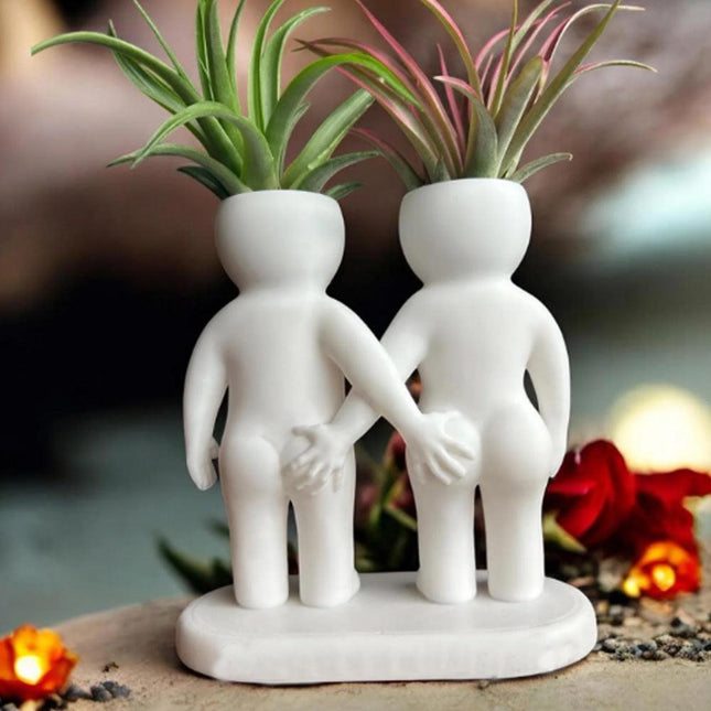 Funny Couple Air Plant Holder - Cheeky Anniversary Gift.