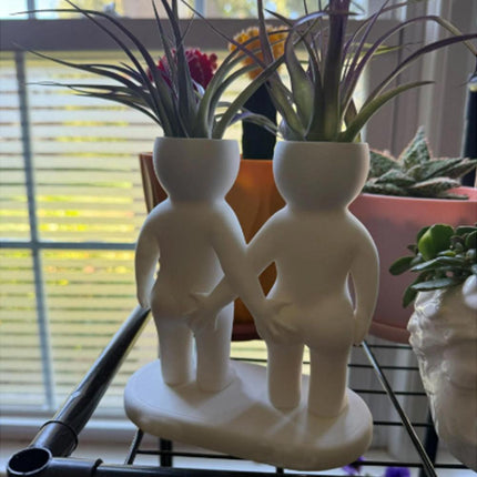 Funny Couple Air Plant Holder - Cheeky Anniversary Gift.
