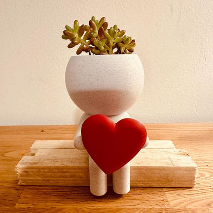 Home Decor Succulent Air Planter Stand,Air Plant holder, Air Plant Lover Gift  Desk Decor.