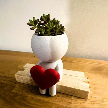 Home Decor Succulent Air Planter Stand,Air Plant holder, Air Plant Lover Gift  Desk Decor.