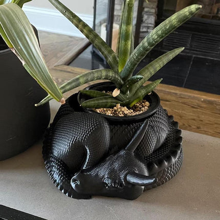 Dragon Planter, 3D Printed, Fantasy Decor, Dragon Pot, Dragon Bowl, Dragon Dish.