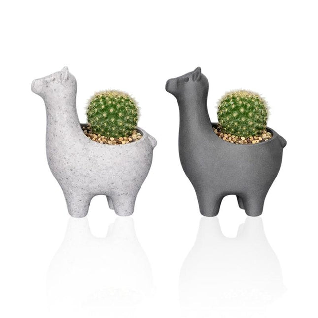 Interesting marble-colored alpaca planter, suitable for planting succulents, cacti, and small indoor plants; a versatile planter for both indoor and outdoor use..