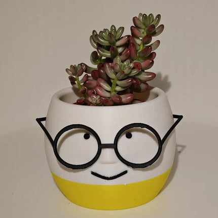 Simple and adorable 3D printed glass flower pots—use them to decorate your home! White and red, single piece..