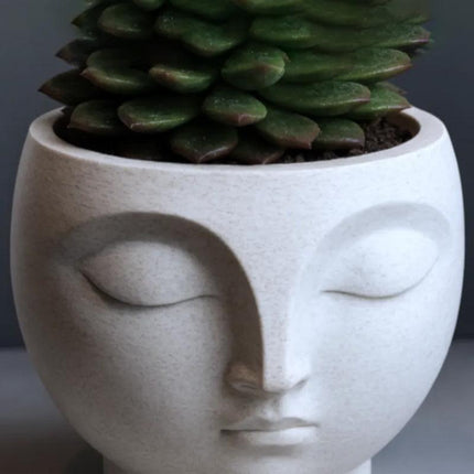 A 3D-printed, serene flowerpot, an eye-catching decorative piece for modern interior spaces. Suitable for planting small plants or succulents..