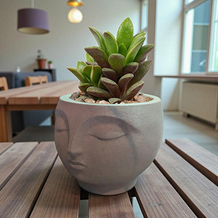 A 3D-printed, serene flowerpot, an eye-catching decorative piece for modern interior spaces. Suitable for planting small plants or succulents..