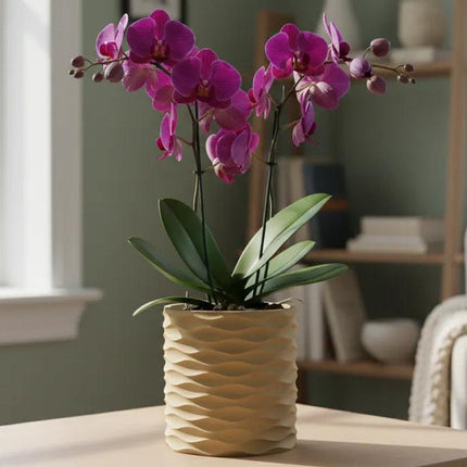 3D Printed Modern Wave Flower Pot - Water-Storing Rotating Base, Army Green, Single Piece.