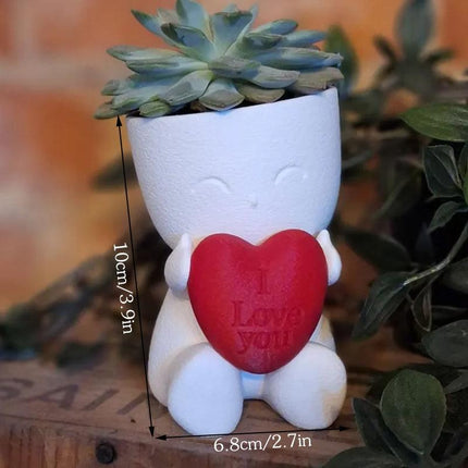 Valentine's Day Mini Flower Pot - Heart-Shaped Succulent (White and Red).