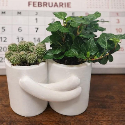 3D Printed Hug Flower Pot – Small Item, Big Heart (White).