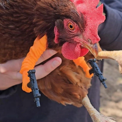 Chicken arms with Guns,Fun, Durable, Rooster Pistol Party, Perfect for Parties, Photoshoots and Pranks Costumes for Chickens to wear(orange).