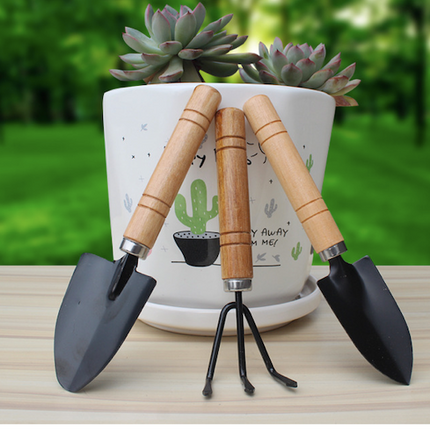 3-Piece Mini Garden Tool Set – Wooden Handle Trowel, Transplanter & Cultivator for Indoor Plants, Potted Succulents & Outdoor Gardening.