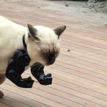 3D printed Black Batman Hood for Adult Cats Large.