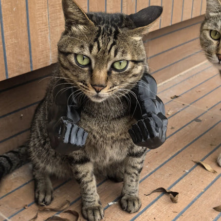 3D printed Black Batman Hood for Adult Cats Large.