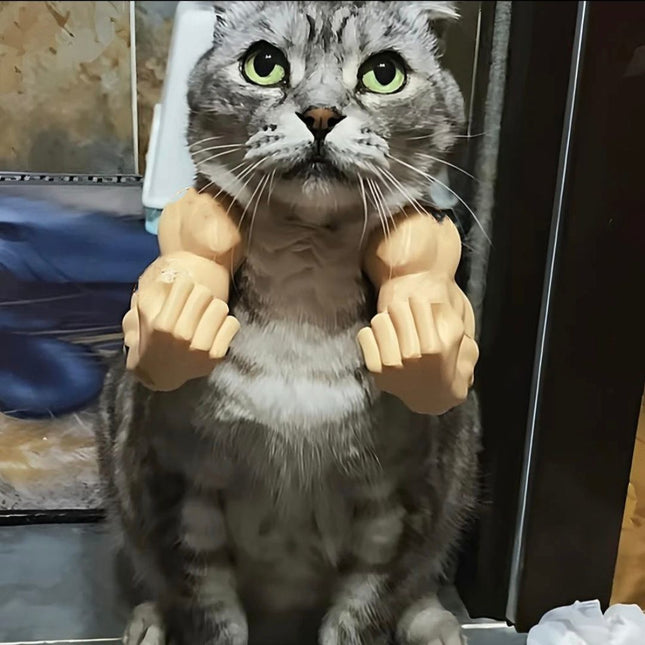Pet Care.