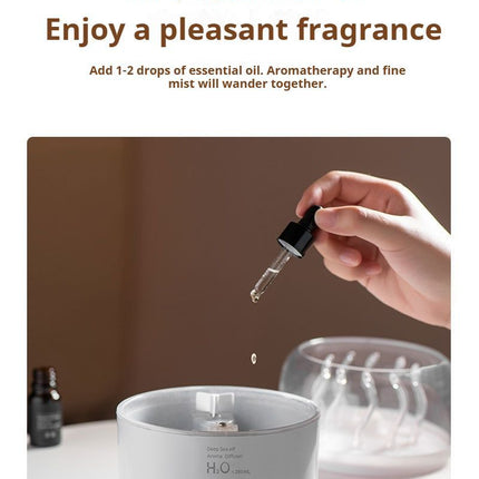 Appliances > Aroma Diffusers & Humidifiers > Aroma Diffusers.