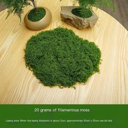 diy artificial moss lawn-Dark Green Filamentous Moss 100g.