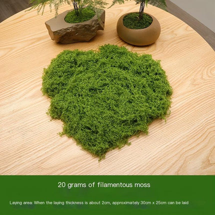 Home & Garden Cartoz.