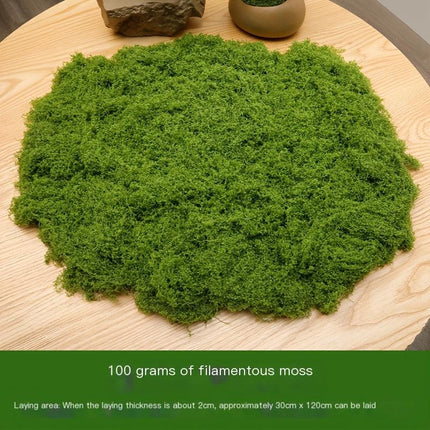 Home & Garden Cartoz.