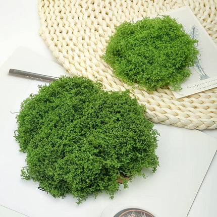 diy artificial moss lawn-Light Green Filamentous Moss 20g.