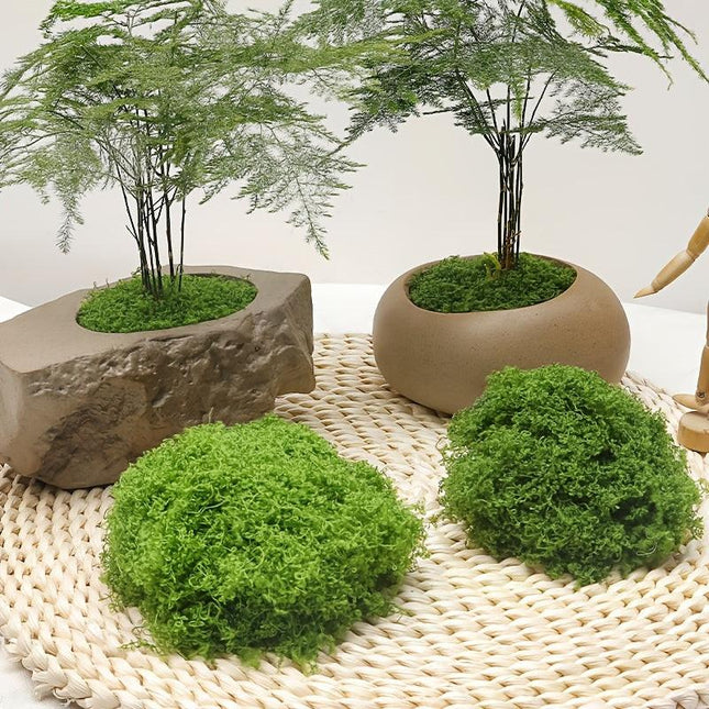 diy artificial moss lawn-Light Green Filamentous Moss 30g.