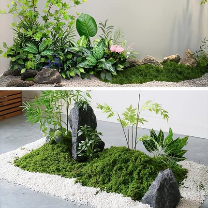 Home & Garden Cartoz.