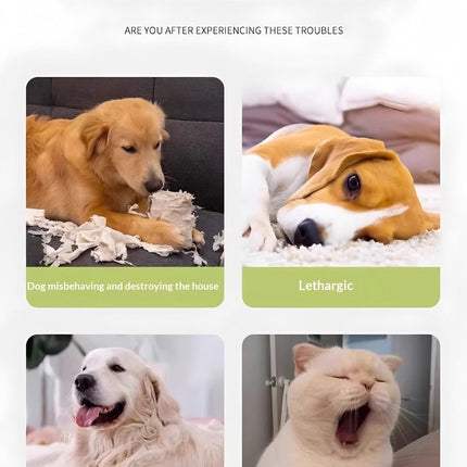 Pet Care.