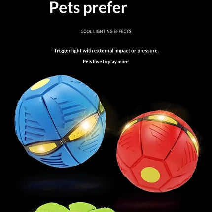 Pet Care.