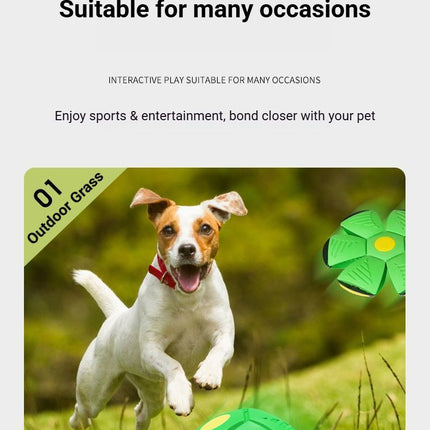 Pet Care.