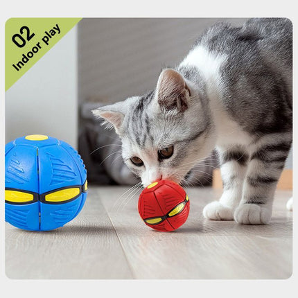 Pet Care.