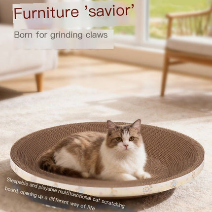 Pet Care Cartoz.