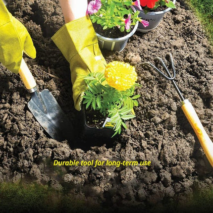 Home & Garden Cartoz.