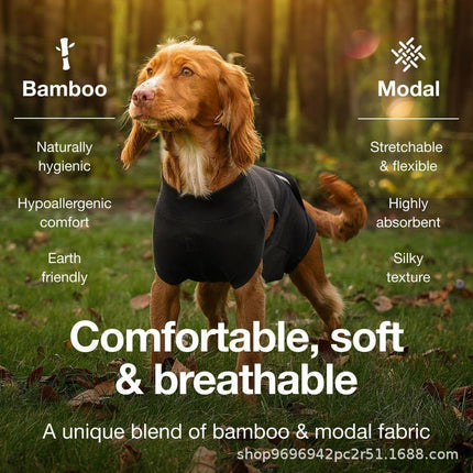 Pet Care Cartoz.