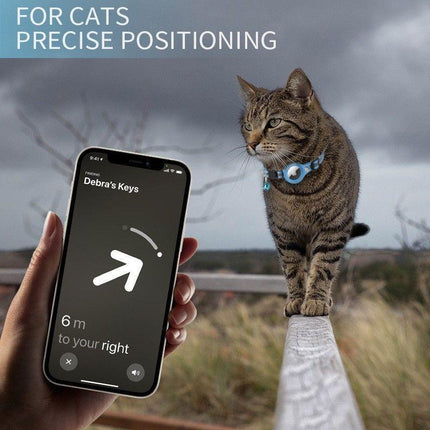 Pet Care Cartoz.