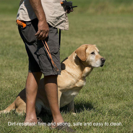 Pet Care Cartoz.