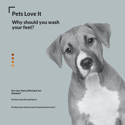 Pet Care Cartoz.