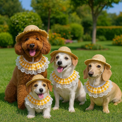 Straw Hat And Yellow Lace Bib.