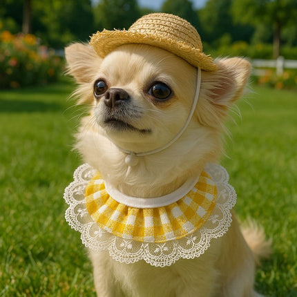 Straw Hat And Yellow Lace Bib.