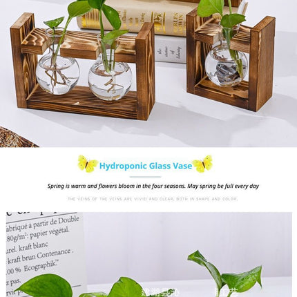 Home & Garden Cartoz.