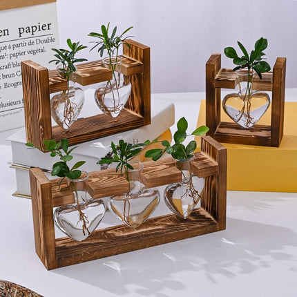 Home & Garden Cartoz.